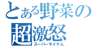 とある野菜の超激怒（スーパーサイヤ人）