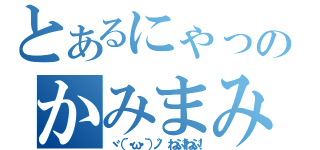 とあるにゃっぷうしょうのかみまみた（ヾ（´・ω・｀）ノ゛ ねぷ！ねぷ！）