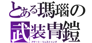 とある瑪瑙の武装冑鎧（アゲート・リュストゥング ）