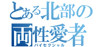 とある北部の両性愛者（バイセクシャル）