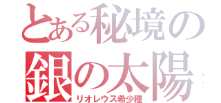 とある秘境の銀の太陽（リオレウス希少種）