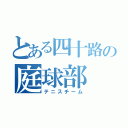 とある四十路の庭球部（テニスチーム）