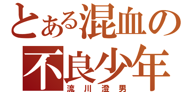 とある混血の不良少年（流川澄男）