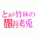 とある竹林の最長老兎（因幡てゐ）