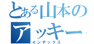 とある山本のアッキーナ（インデックス）