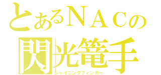 とあるＮＡＣの閃光篭手（シャイニングフィンガー）