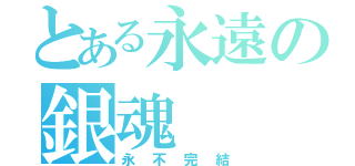 とある永遠の銀魂（永不完結）