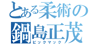 とある柔術の鍋島正茂（ビックマック）