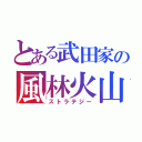 とある武田家の風林火山（ストラテジー）