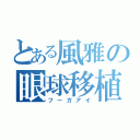 とある風雅の眼球移植（フーガアイ）