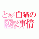 とある白猫の恋愛事情（センチメント）