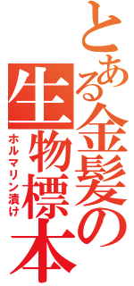 とある金髪の生物標本（ホルマリン漬け）