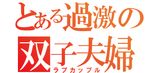 とある過激の双子夫婦（ラブカップル）