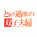 とある過激の双子夫婦（ラブカップル）