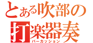 とある吹部の打楽器奏者（パーカッション）