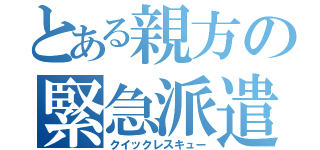 とある親方の緊急派遣（クイックレスキュー）