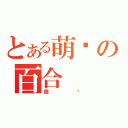 とある萌态の百合（傲娇）