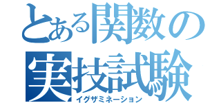 とある関数の実技試験（イグザミネーション）