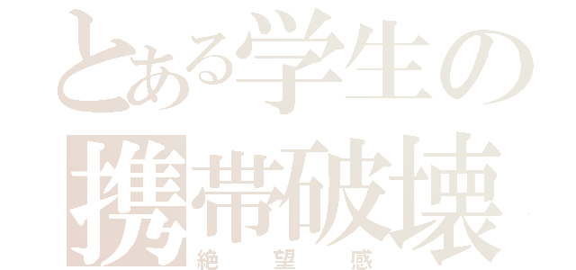 とある学生の携帯破壊（絶望感）