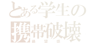 とある学生の携帯破壊（絶望感）