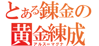 とある錬金の黄金練成（アルス＝マグナ）