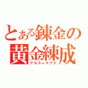 とある錬金の黄金練成（アルス＝マグナ）