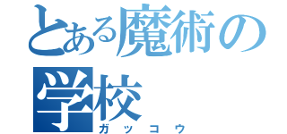 とある魔術の学校（ガッコウ）