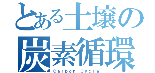 とある土壌の炭素循環（Ｃａｒｂｏｎ Ｃｙｃｌｅ）