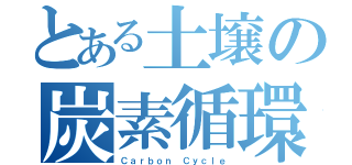 とある土壌の炭素循環（Ｃａｒｂｏｎ Ｃｙｃｌｅ）