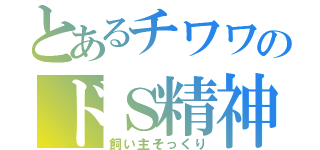 とあるチワワのドＳ精神（飼い主そっくり）