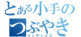 とある小手のつぶやき（インデックス）