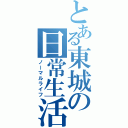 とある東城の日常生活（ノーマルライフ）