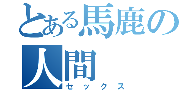 とある馬鹿の人間（セックス）