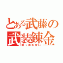 とある武藤の武装錬金（真っ赤な誓い）