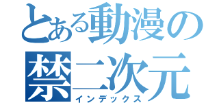 とある動漫の禁二次元（インデックス）