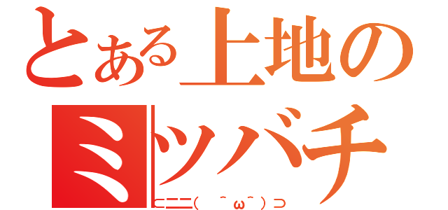 とある上地のミツバチ（⊂二二（　＾ω＾）⊃）