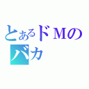 とあるドＭのバカ（）