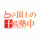 とある頂上の土佐塾中（シーホーホーム）