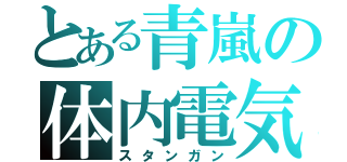 とある青嵐の体内電気（スタンガン）