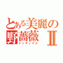 とある美麗の野薔薇Ⅱ（インデックス）