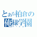 とある柏倉の俺様学園（ハーレム）