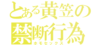 とある黄笠の禁断行為（ホモセックス）