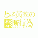 とある黄笠の禁断行為（ホモセックス）