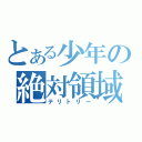 とある少年の絶対領域（テリトリー）