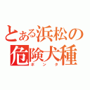 とある浜松の危険犬種（ボンタ）