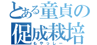 とある童貞の促成栽培（もやっしー）