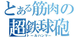 とある筋肉の超鉄球砲（トールハンマー）