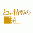 とある情弱の三猿（知らない事を無視して調べない）