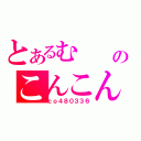 とあるむ　　のこんこん（ｃｏ４８０３３６）