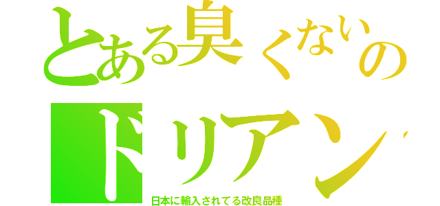 とある臭くないのドリアン（日本に輸入されてる改良品種）